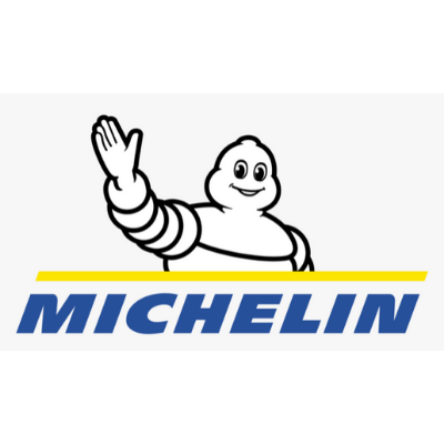 Летние шины Michelin